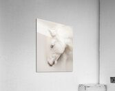 QuietGrace Acrylic Print