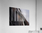 Unspoken Acrylic Print