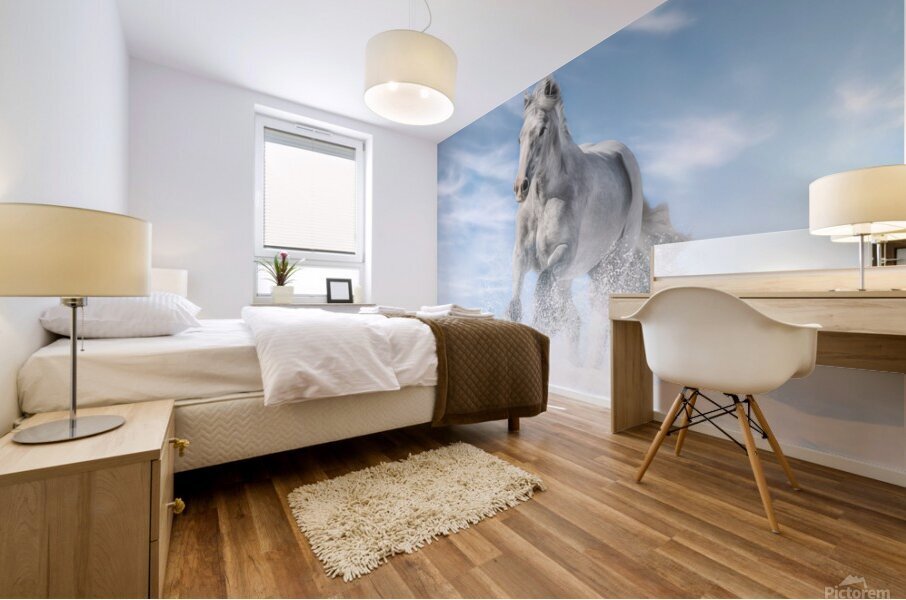 Joy in the Sky Mural print