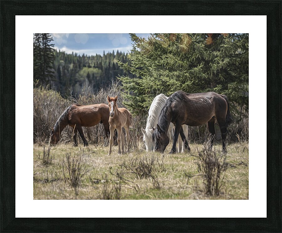 A Piece of Something Bigger Picture Frame print