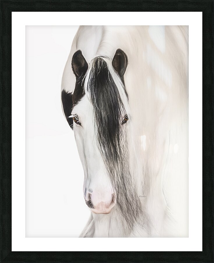 Defined Elegance Picture Frame print