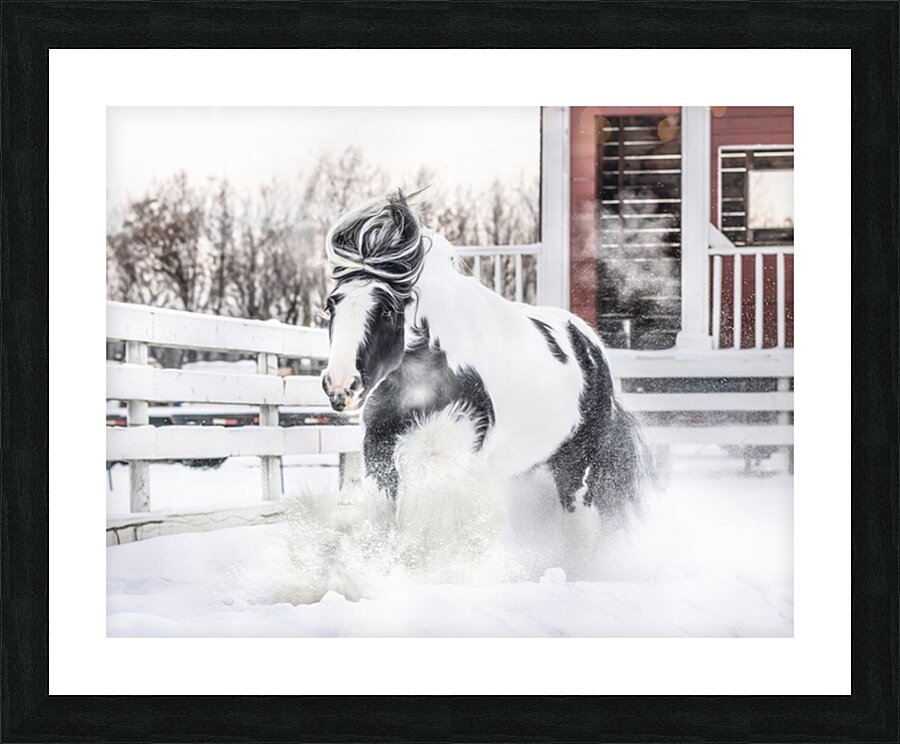 Breathe of Winter Picture Frame print