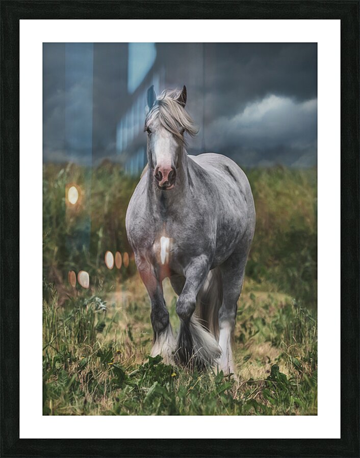 Dont stop Picture Frame print