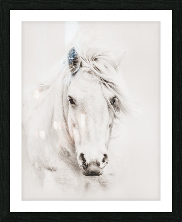 Soulful Picture Frame print