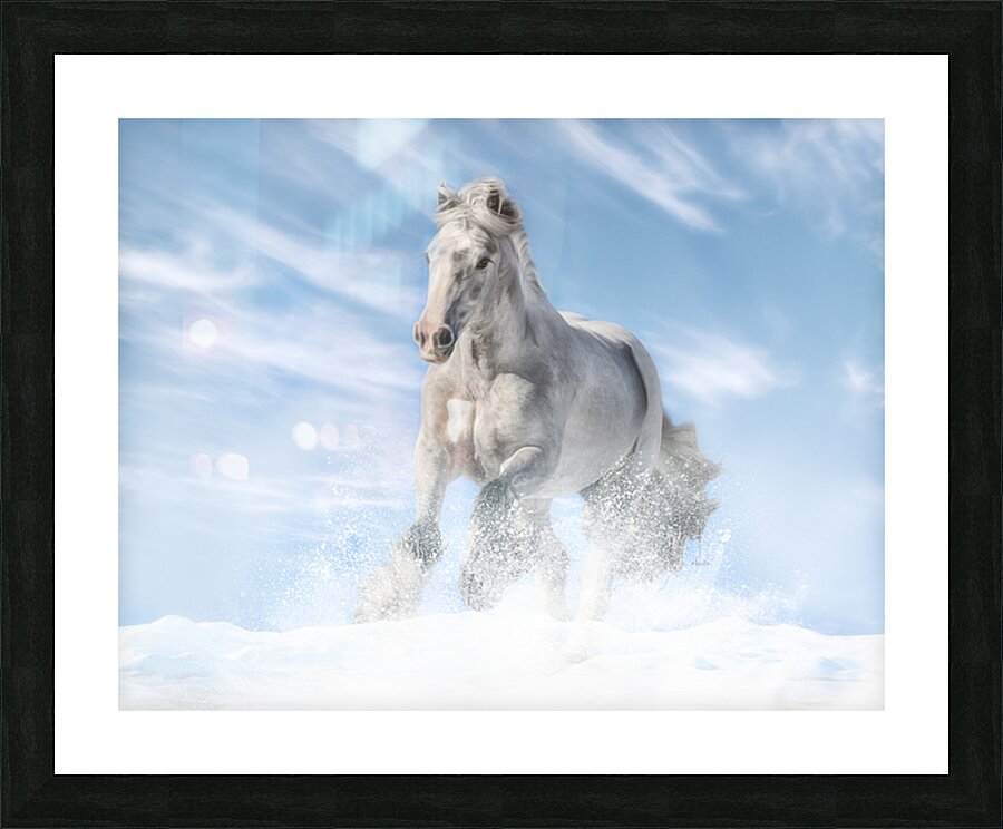 Joy in the Sky Picture Frame print