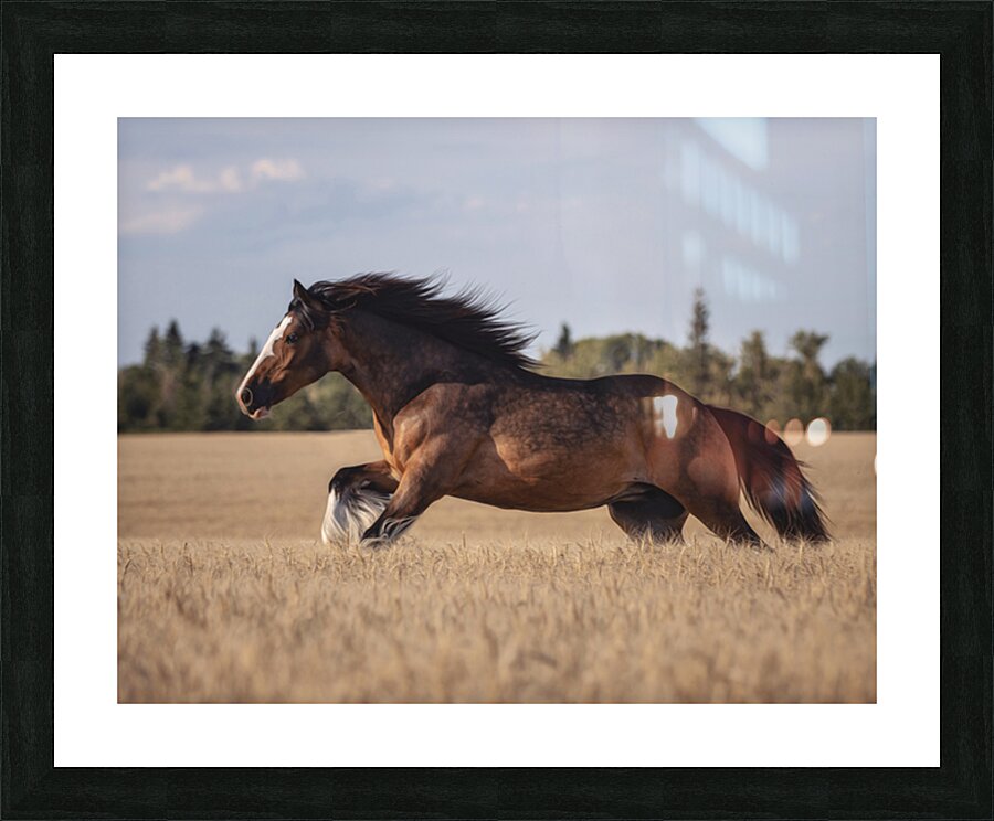 Free Spirit Picture Frame print