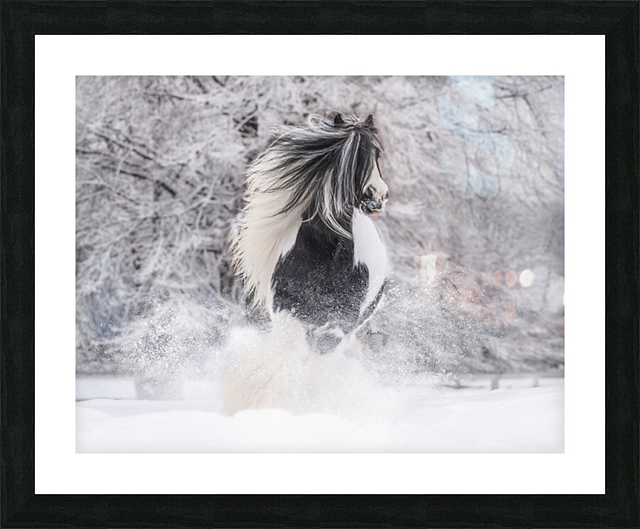 First Snow Picture Frame print