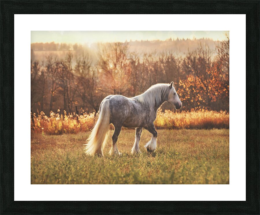 Field of Dreams Picture Frame print