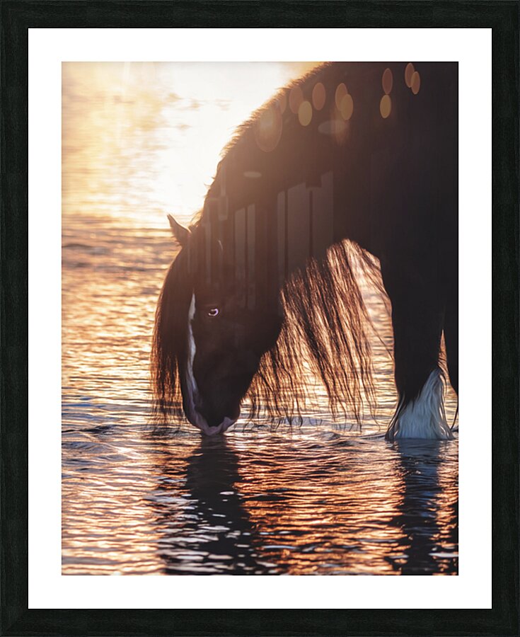 Quiet Reflection Picture Frame print
