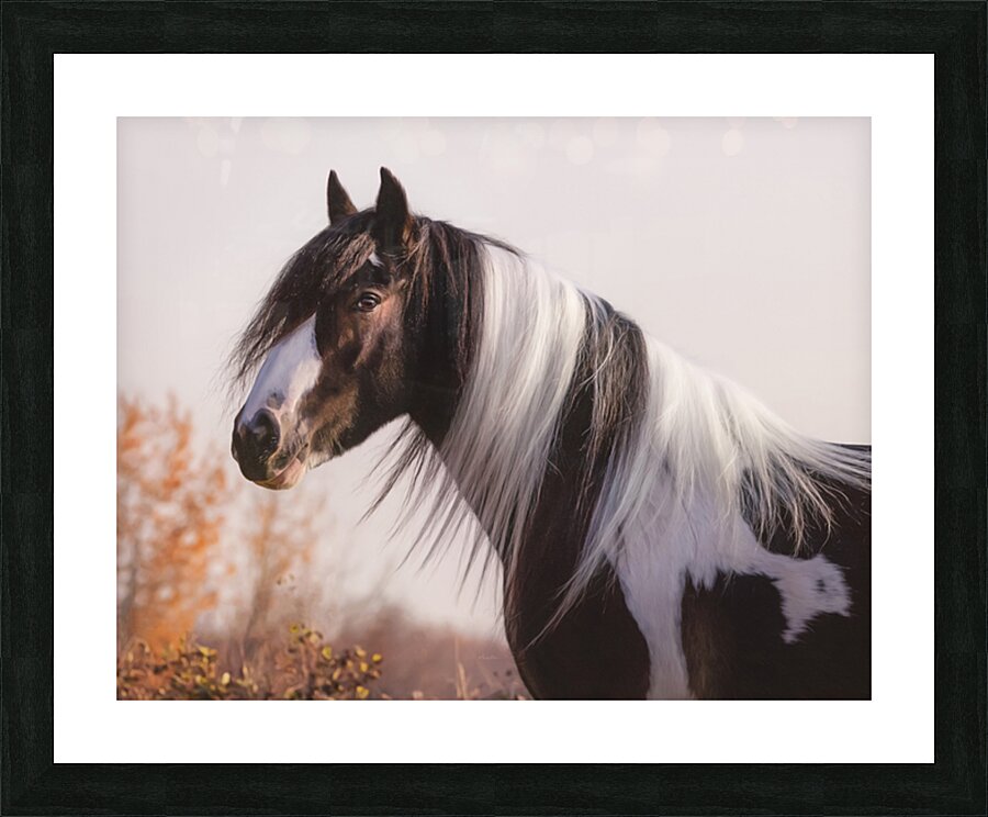 Silent Gaze Picture Frame print