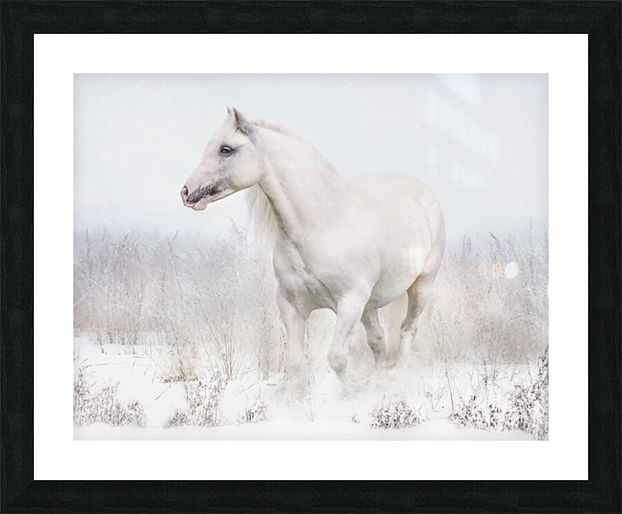 Winters Whisper Picture Frame print