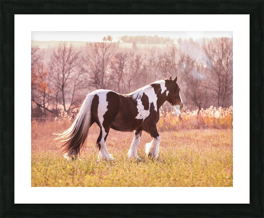 Sunlit Treasures Picture Frame print