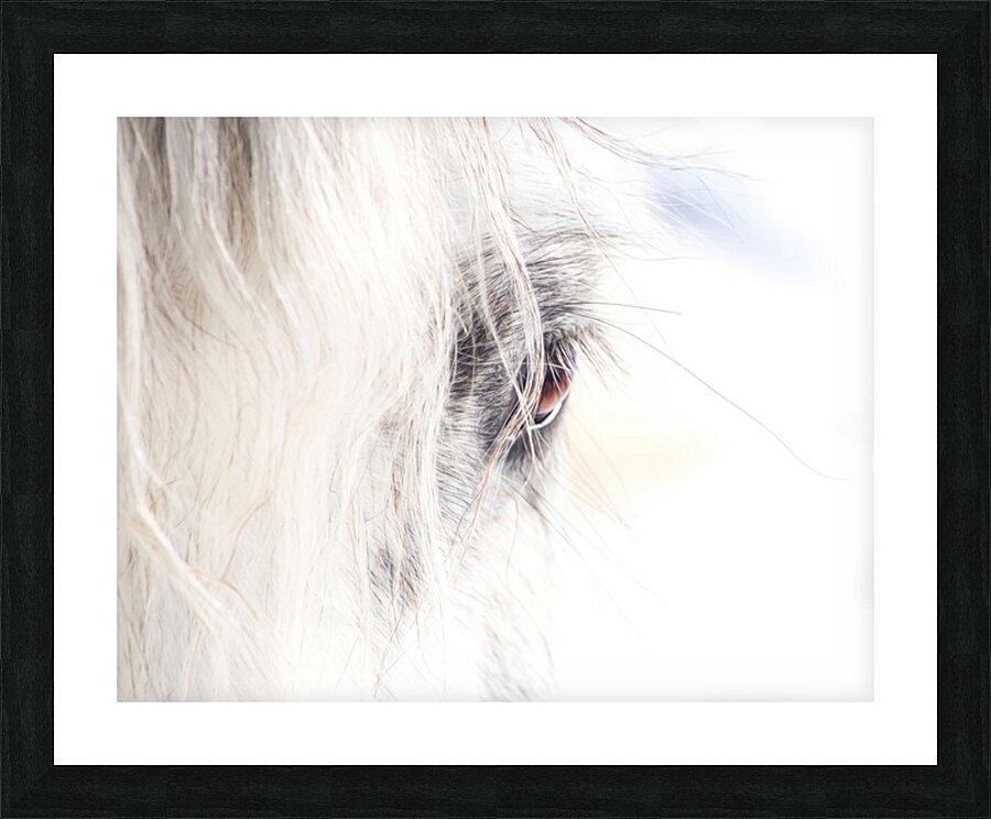 A Quiet Gaze Picture Frame print