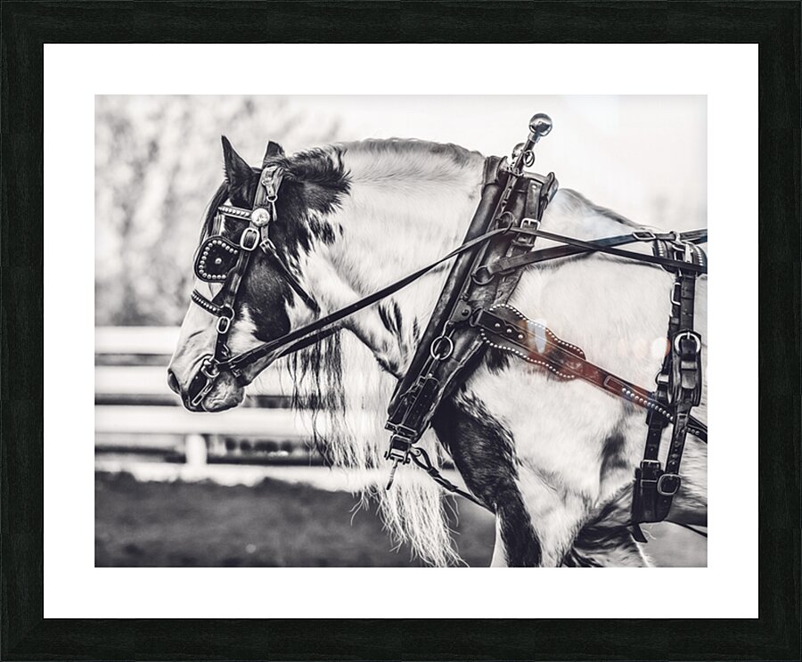 Determination Picture Frame print