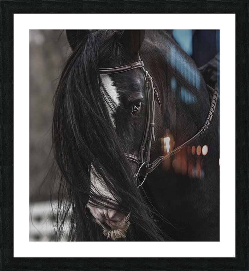 Discipline Picture Frame print