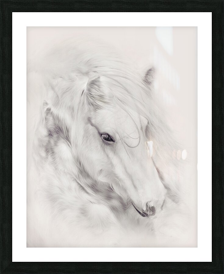 Fairytale Dreams Picture Frame print