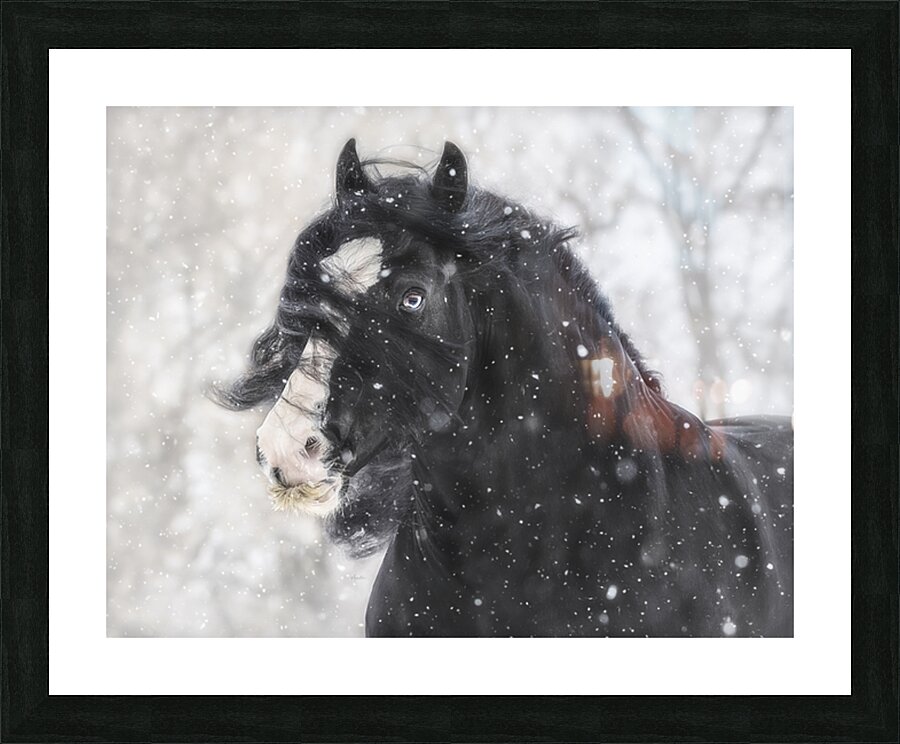 Snowstorm Picture Frame print