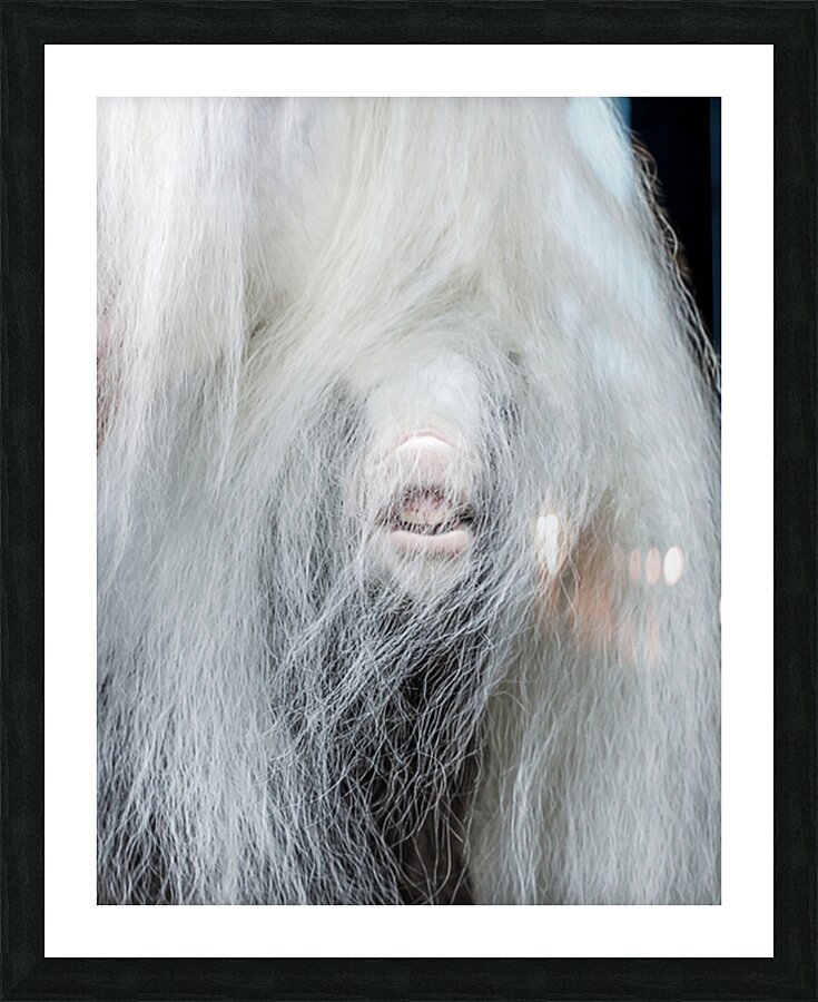 Having Fun Picture Frame print