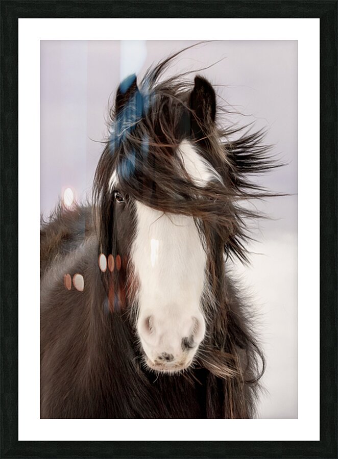 Unveiled Picture Frame print