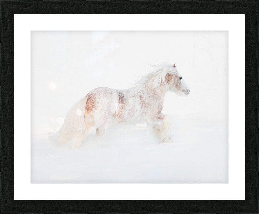 Ivory Passage Picture Frame print