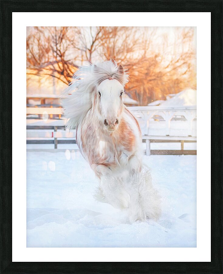 Throught the Silence Picture Frame print