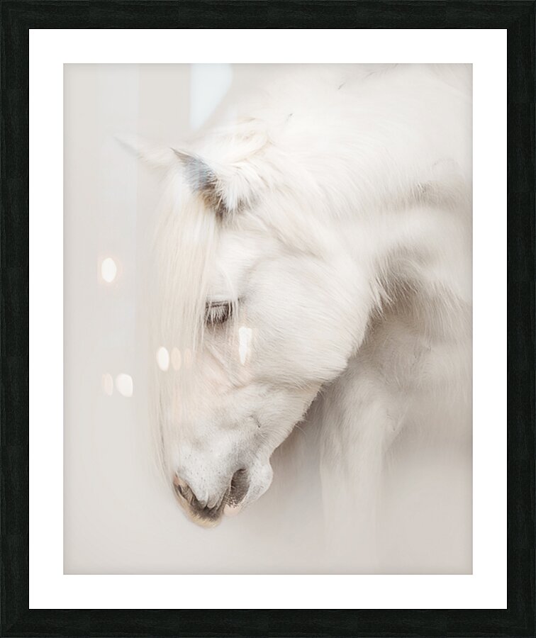 QuietGrace Picture Frame print