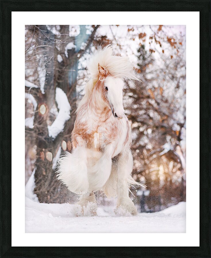 WinterLight Picture Frame print