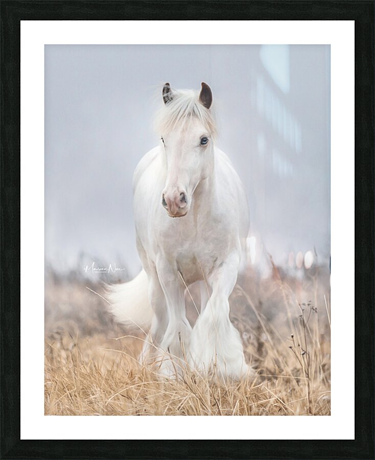 Dreamwalker Picture Frame print