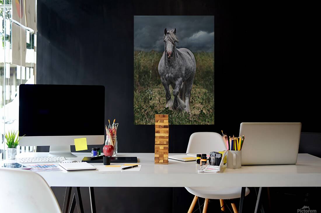 Dont stop Reproduction