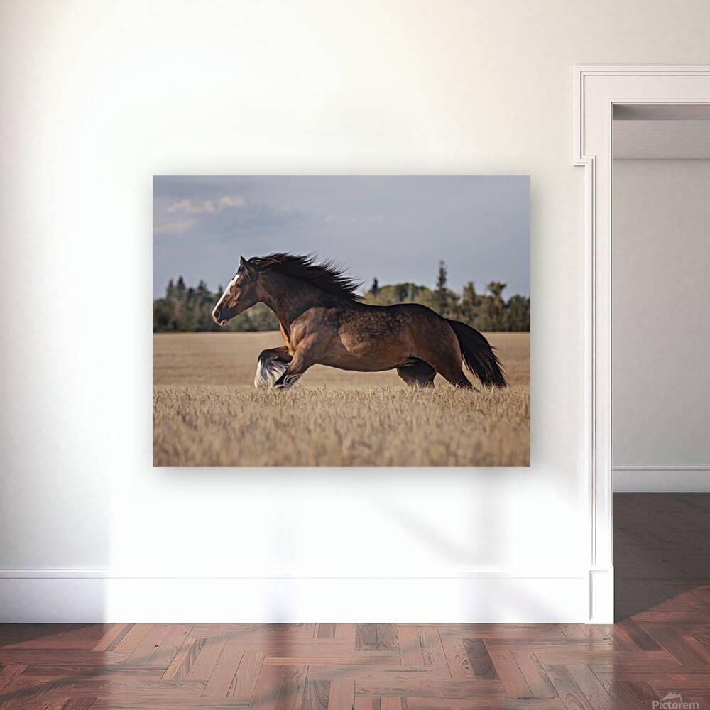 Free Spirit Reproduction