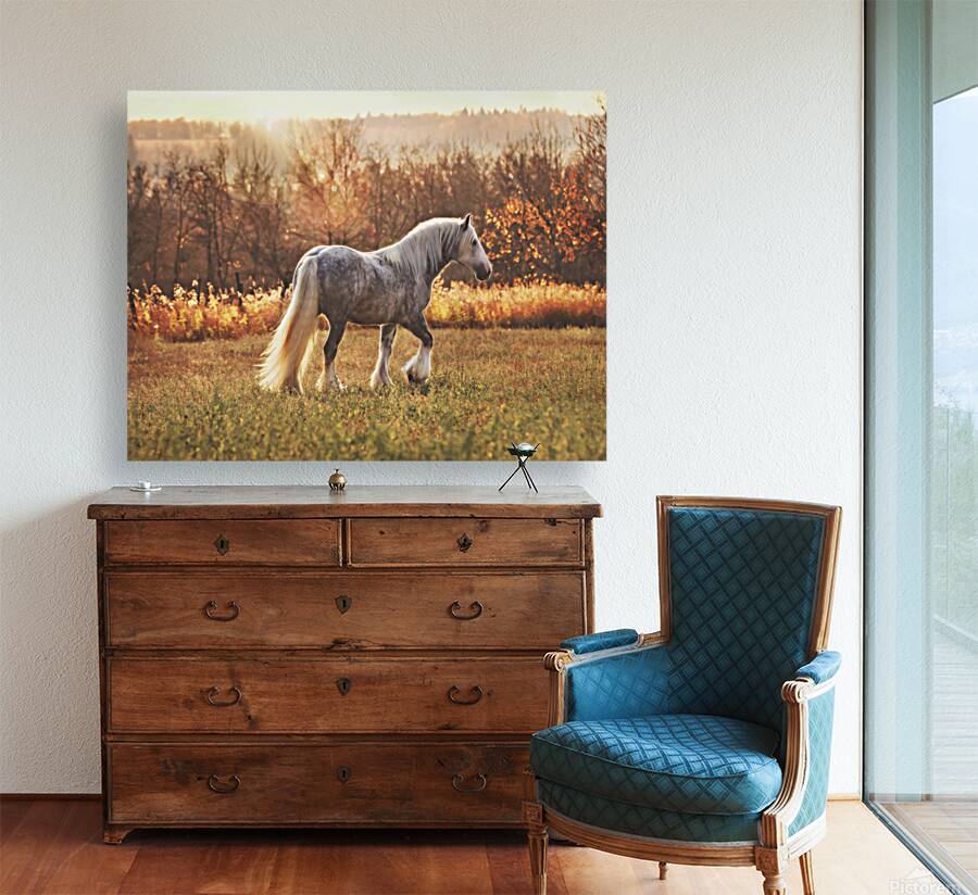 Field of Dreams Reproduction