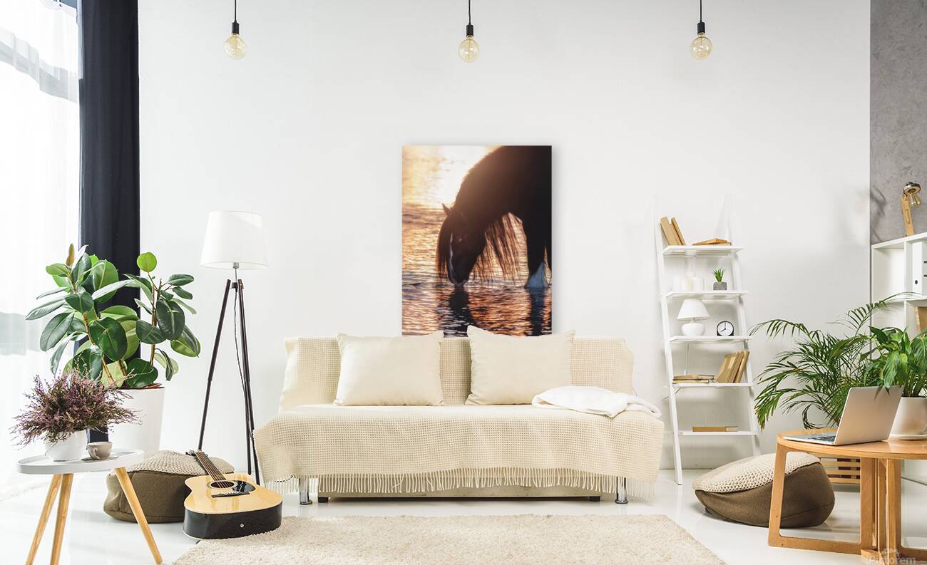 Quiet Reflection Reproduction