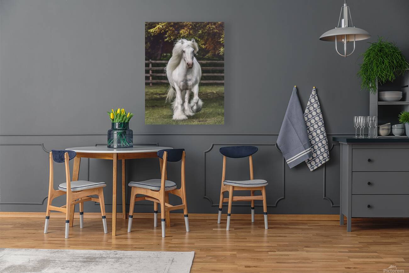 The Heart Knows Reproduction