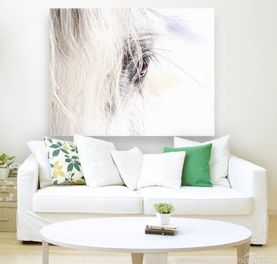 A Quiet Gaze Reproduction