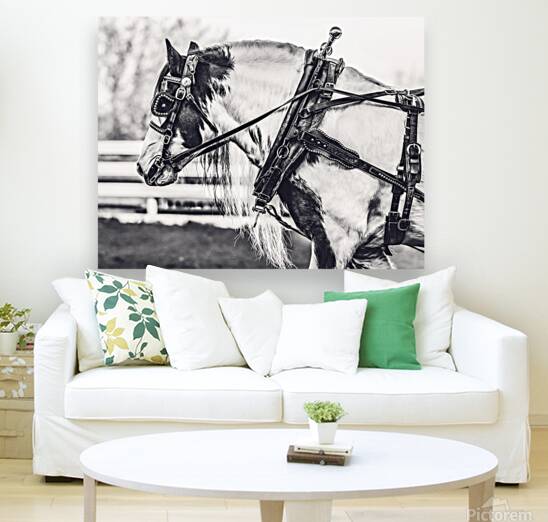 Determination Reproduction