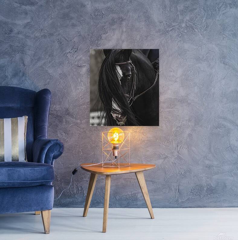 Discipline Reproduction