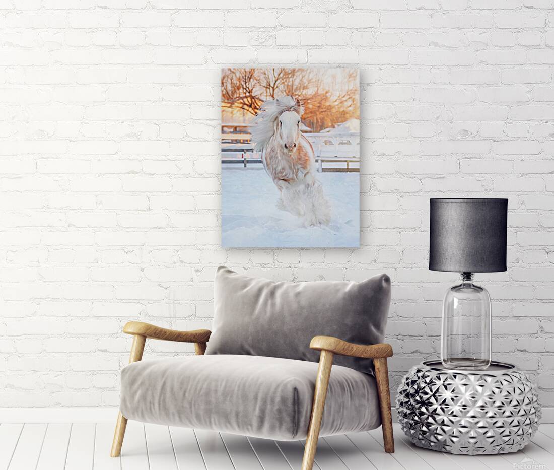 Throught the Silence Reproduction