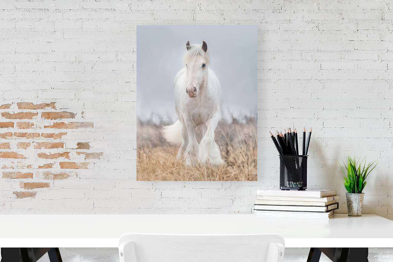 Dreamwalker Reproduction