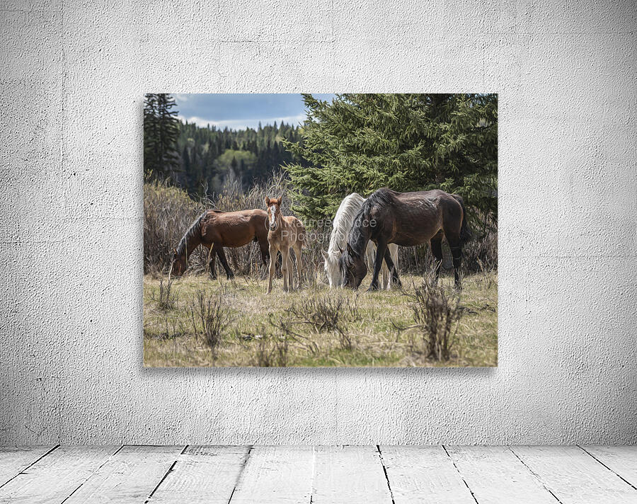 A Piece of Something Bigger Wall Preview