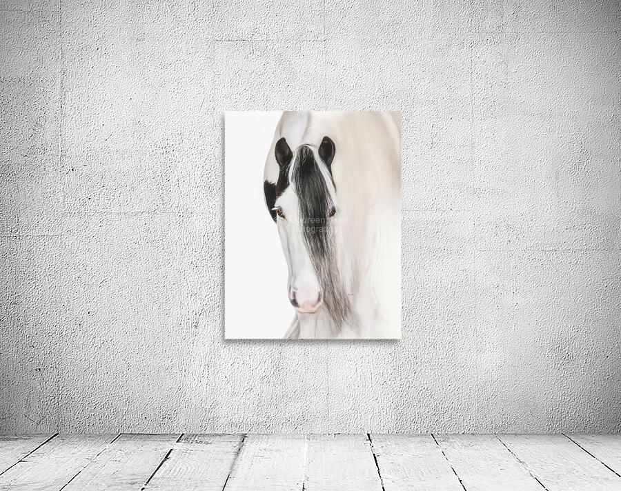 Defined Elegance Wall Preview