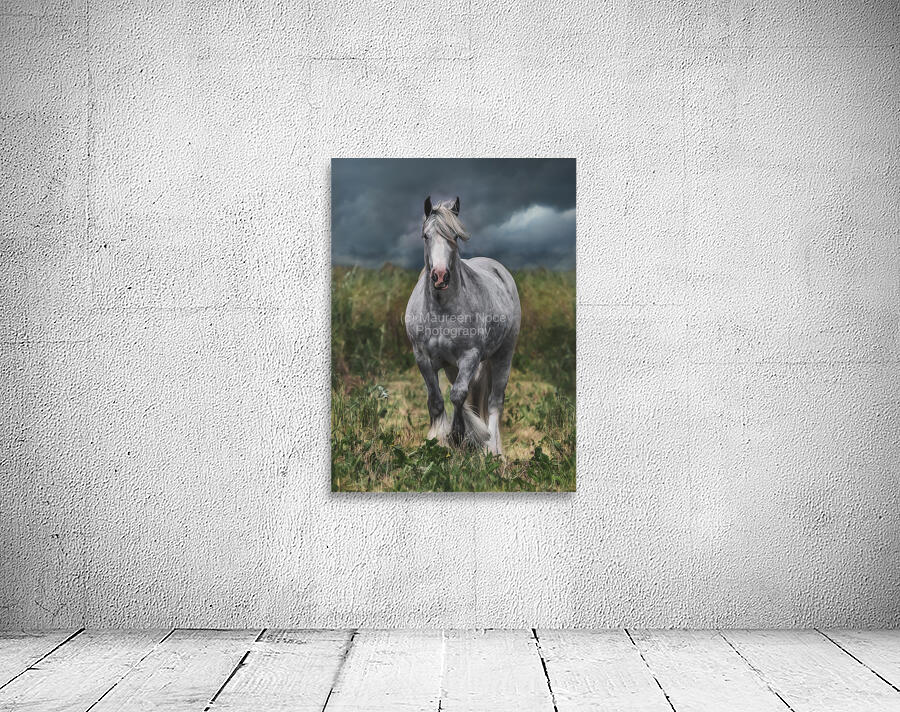 Dont stop Wall Preview