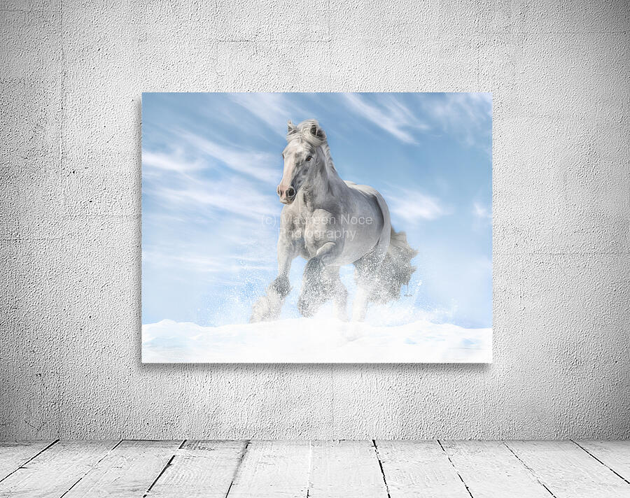 Joy in the Sky Wall Preview