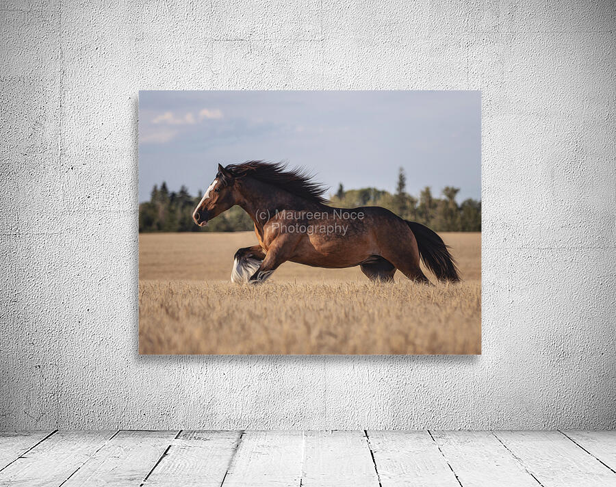 Free Spirit Wall Preview