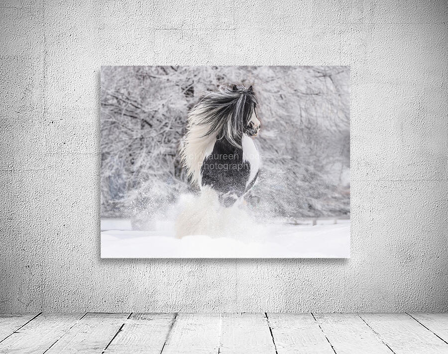 First Snow Wall Preview