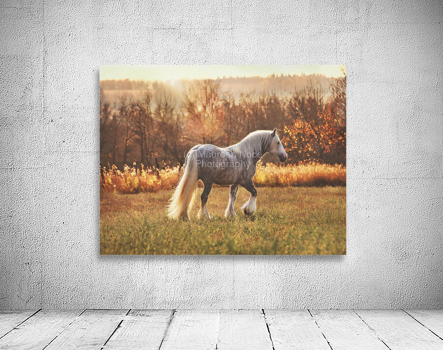 Field of Dreams Wall Preview