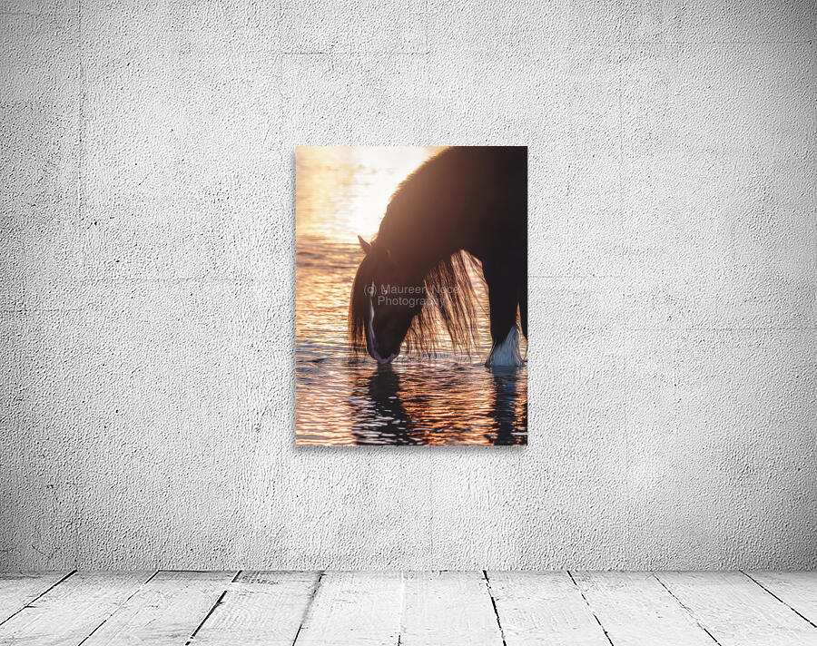 Quiet Reflection Wall Preview