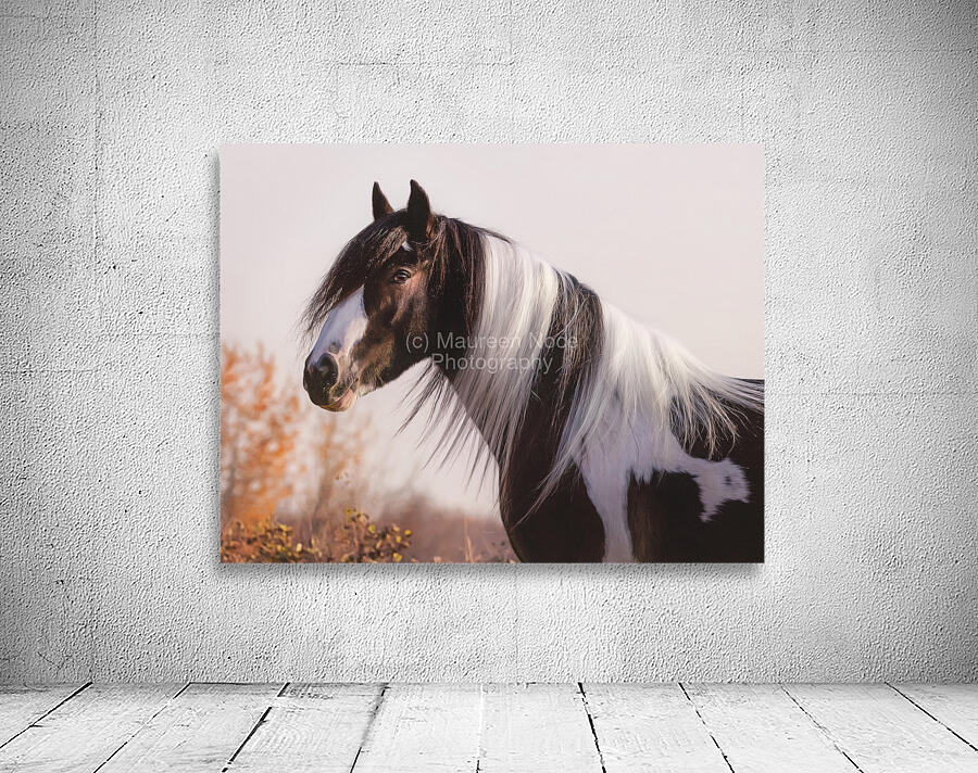 Silent Gaze Wall Preview