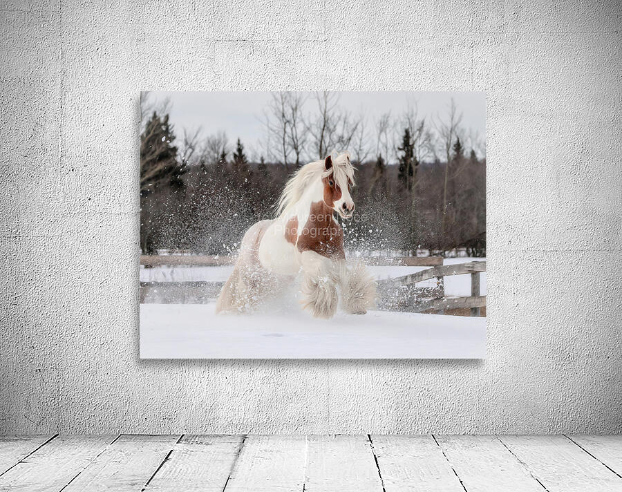 Snow Dancer Wall Preview