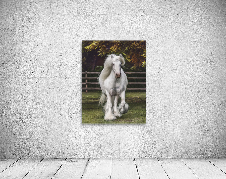 The Heart Knows Wall Preview