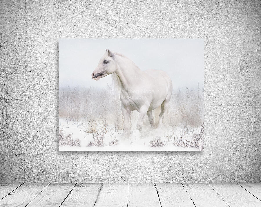 Winters Whisper Wall Preview